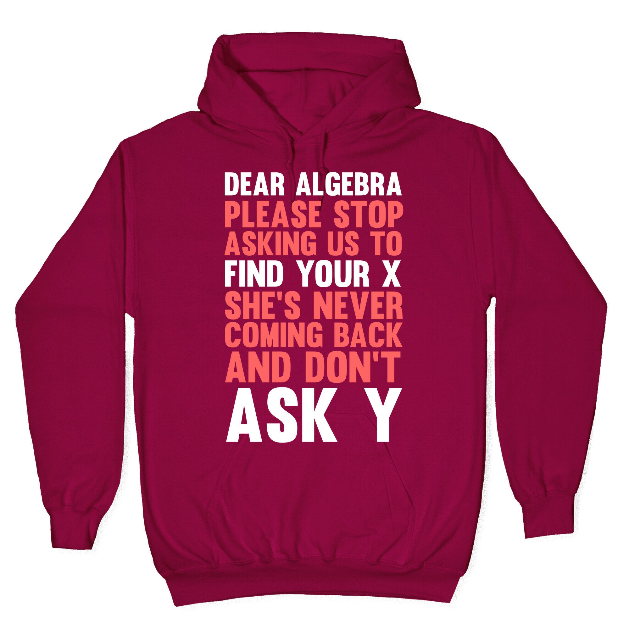 Dear Algebra Hoodie